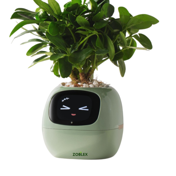 Zoblex™ Smart Plant Pot II - Image 9